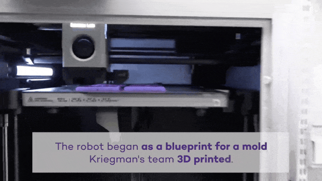 美国国家科学院院刊：AI高效设计一款会走路的机器人，只需26秒(图4)